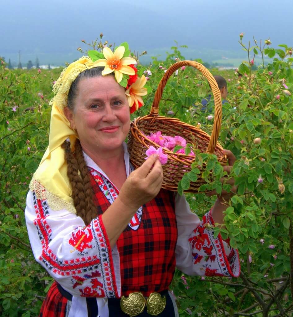 Rose picker in traditional Bulgarian folklore clothing near Kazanlak, Bulgaria (during rose picking ritual event)