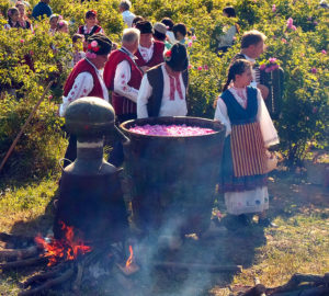 Distillation of rose oil - event from the rose festival in Kazanlak
